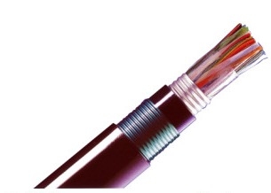 HYA53 CAT LAN Cable
