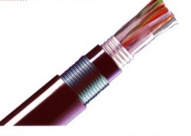 HYA53 CAT LAN Cable
